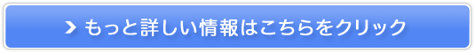 �T���X�^�[���N����y���������`�z�̔��T�C�g��